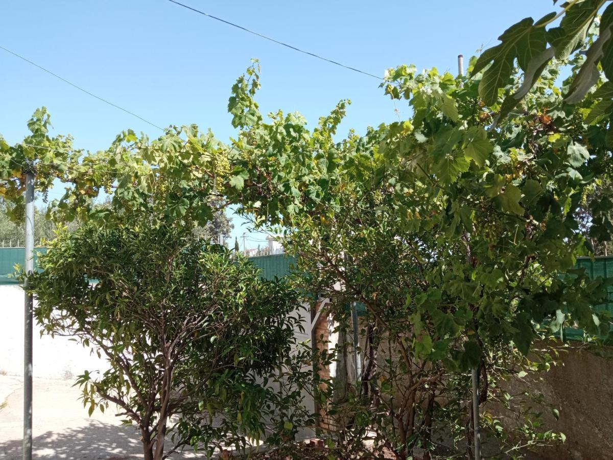 Sunset Viewhouse Homestay Dhermi